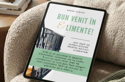 Mockup E-book „Bun venit în E-limente”